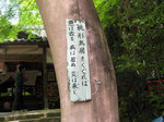 桃太郎神社9