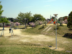 白鳥公園